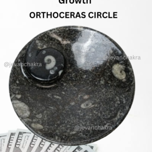 Abundance and Financial Plate - Circular Shape