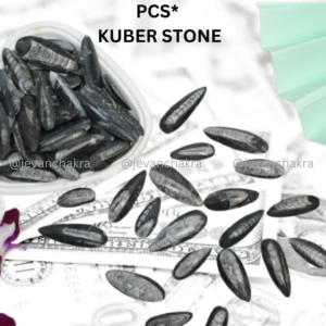 *ORTHOCERAS NATURAL SMALL PCS* (3 PCS PACK)