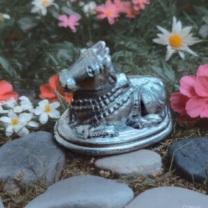 Parad Nandi Ji - 165 Grams