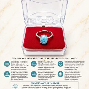 LARIMAR STAINLESS STEEL ADJUSTABLE RING