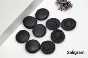 Shaligram — A Sacred Symbol of Lord Vishnu - 1 Piece