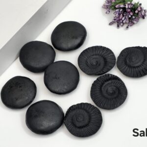 Shaligram — A Sacred Symbol of Lord Vishnu - 1 Piece